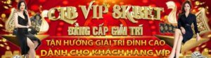 Chương Trình Cấp Độ Vip 8kbet