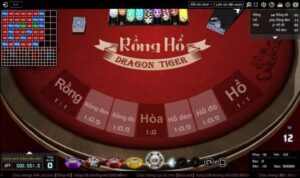 Rồng Hổ là gì? 